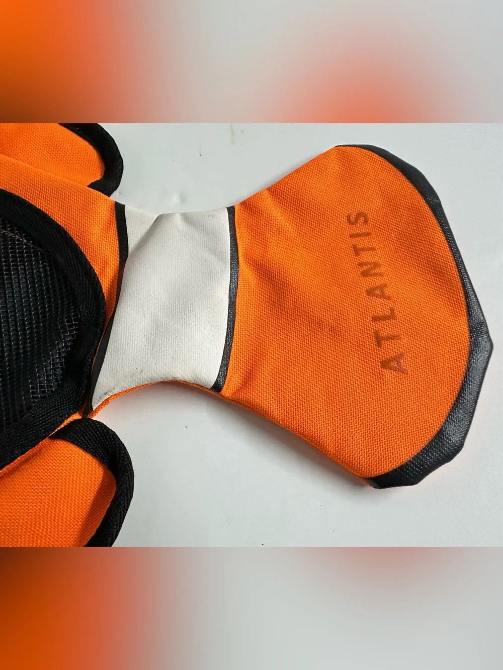 Atlantis resorts clownfish